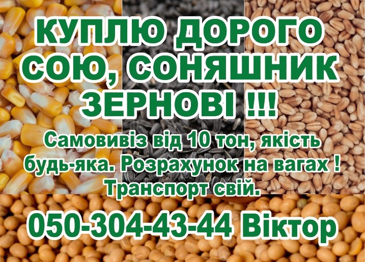 Куплю дорого сою  соняшник  зернові!!!