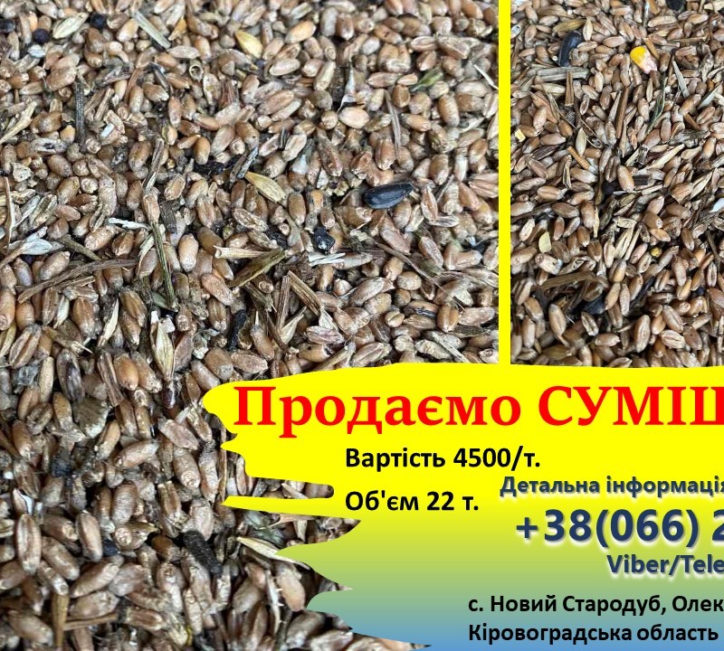 ПРОДАМ суміш ЗЕРНА
