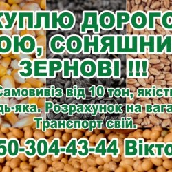 Куплю дорого сою  соняшник  зернові!!!
