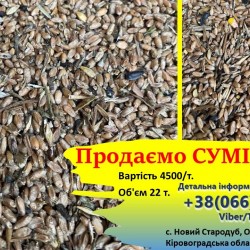ПРОДАМ суміш ЗЕРНА