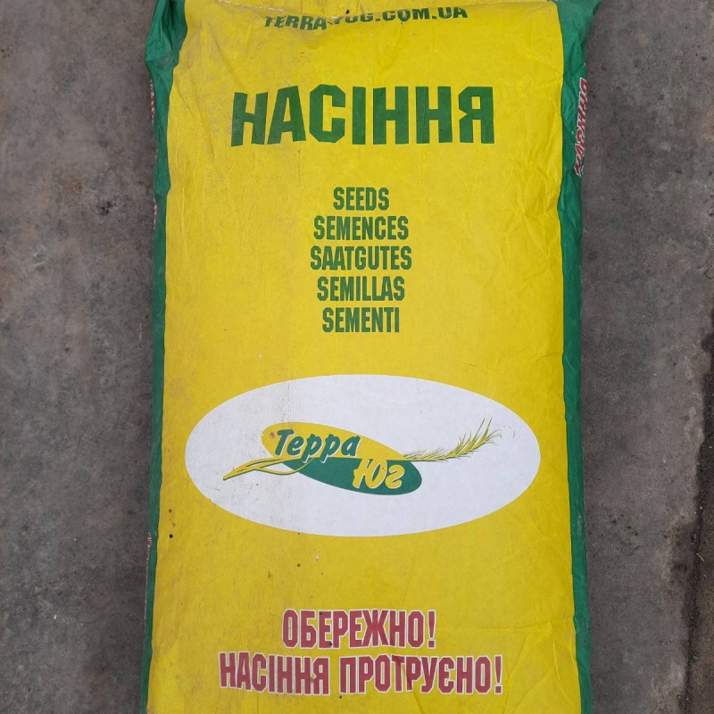 Продам насіння соняшника  сорт  Княжий 