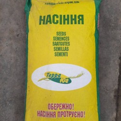 Продам насіння соняшника  сорт  Княжий 