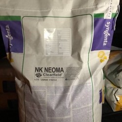 Продам насіння соняшника  Соняшник посівний в асортименті